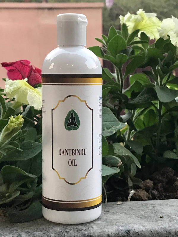 Dant bindu Oil